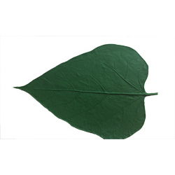FormaLeaf LP111 - Catalpa Leaf Pattern
