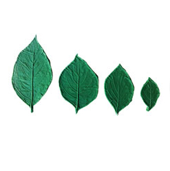 FormaLeaf LP168 - Dogwood Leaf Pattern Set of 4