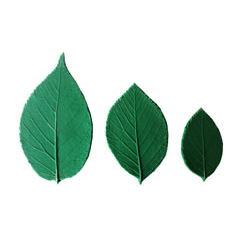 FormaLeaf LP170 - Berry Leaf Pattern Set of 3
