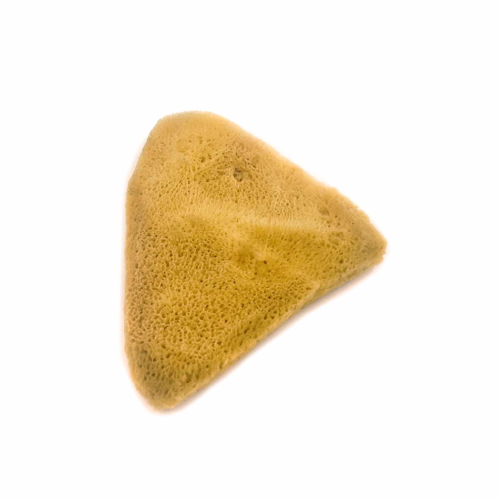 Elephent Ear Potter's Sponge