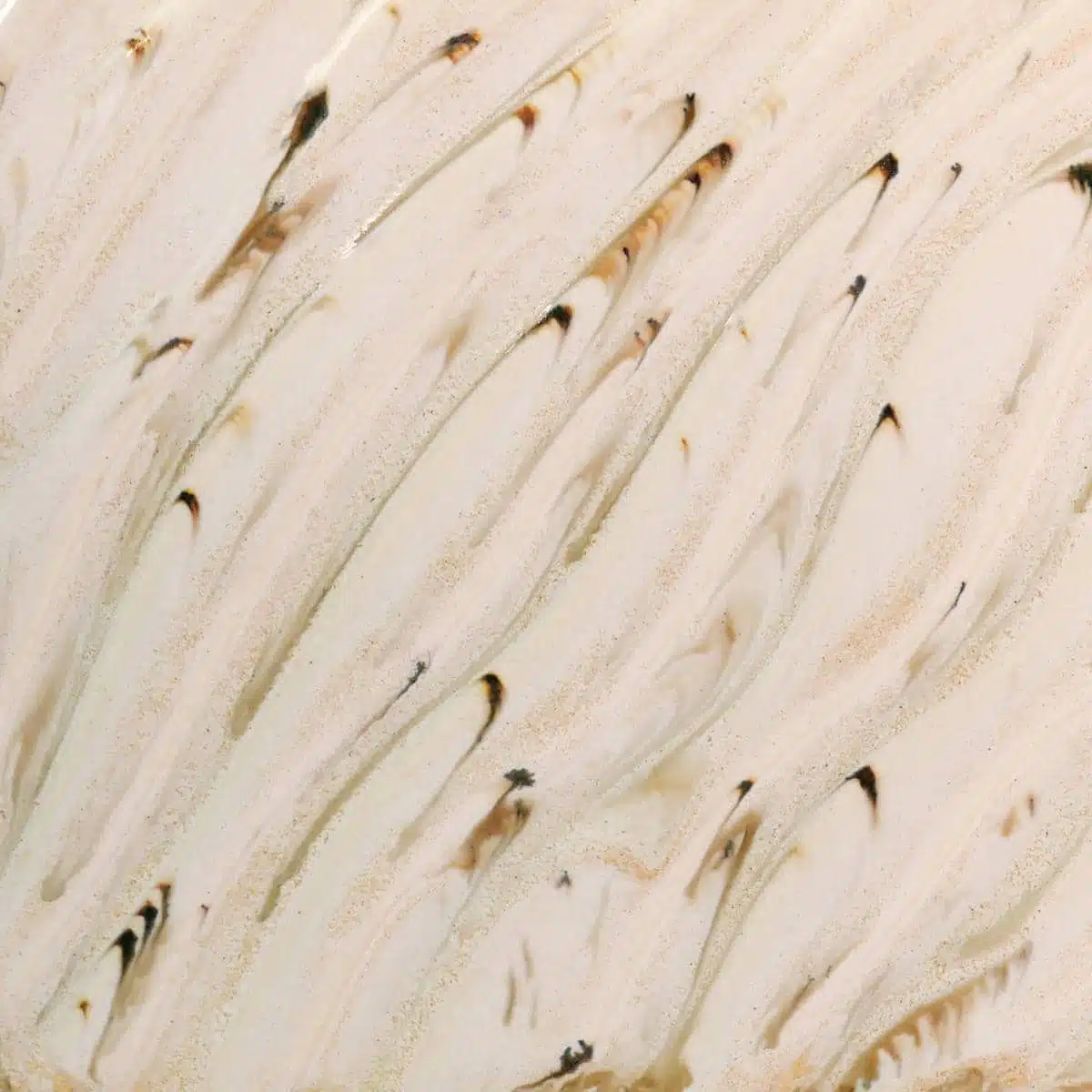 Amaco Potter's Choice Flux - PCF-74 River Birch - Pint