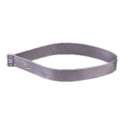 Colorific Porcelain Rex 33 Southern Magnolia Petal Cutter