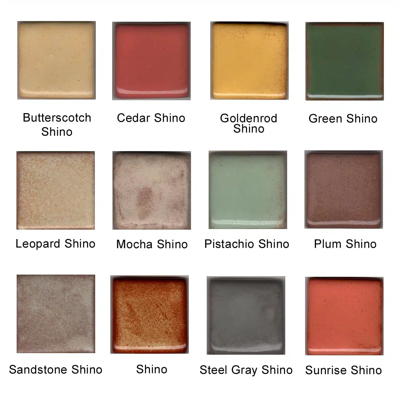 Coyote Sample Kit #6 Set of 12 Shino 4oz Glazes