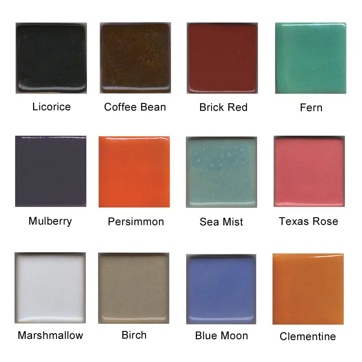 Coyote Sample Kit #9 Set of 12 Two-Step 4oz Glazes