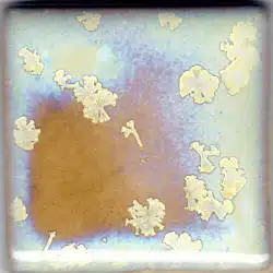 Coyote Crystalline Slow Cool - MBG-164 Crystal Nebula