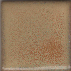 Coyote Constellation - MBG-173 Summer Spice