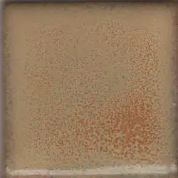 Coyote Constellation - MBG-173 Summer Spice