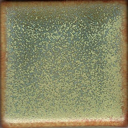 Coyote Constellation - MBG-179 Aries - Pint (16 oz.)