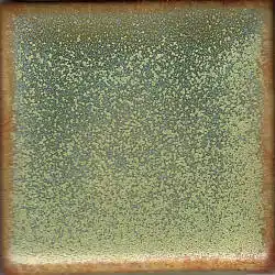 Coyote Constellation - MBG-179 Aries