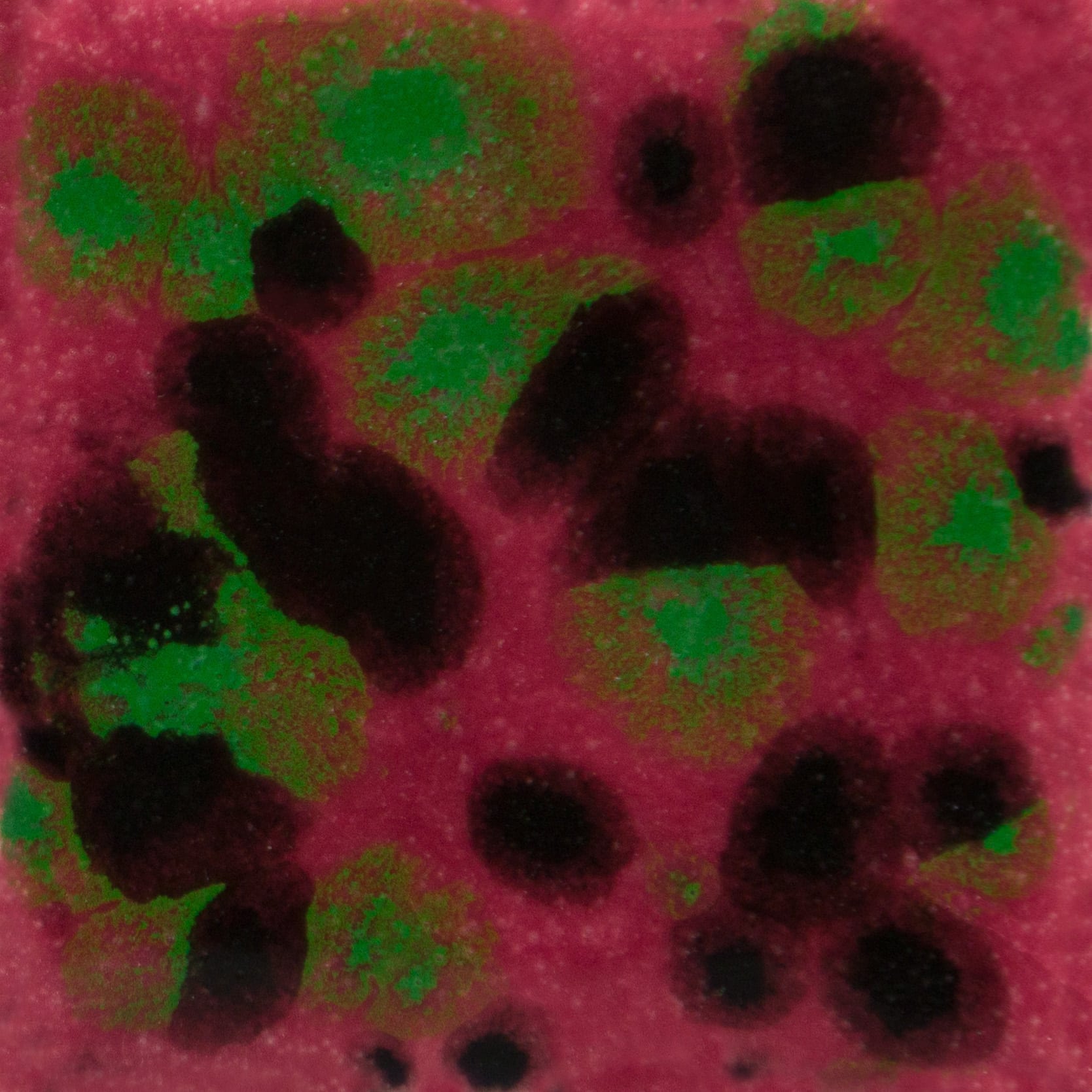 Mayco Jungle Gems - CG-1005 Maroon Lagoon | Clay King