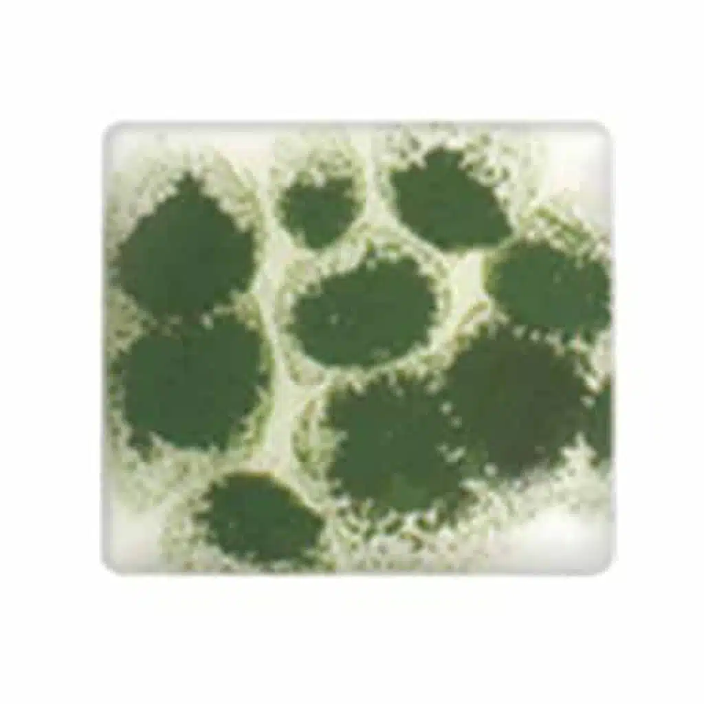 Spectrum Glaze Crystals - CR-06 Green - 1 oz