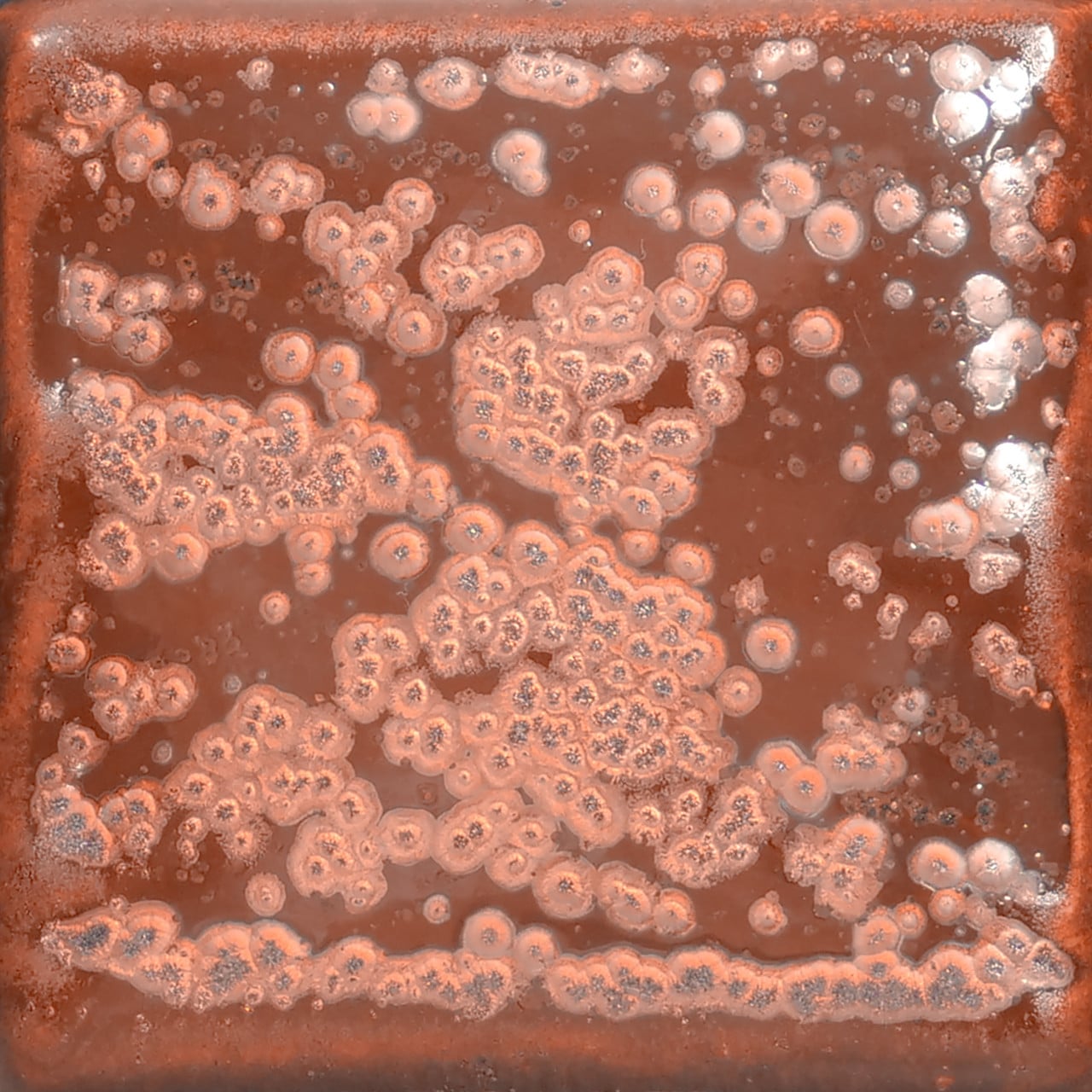 Amaco Potter's Choice - PC-56 Ancient Copper - Pint | Clay King