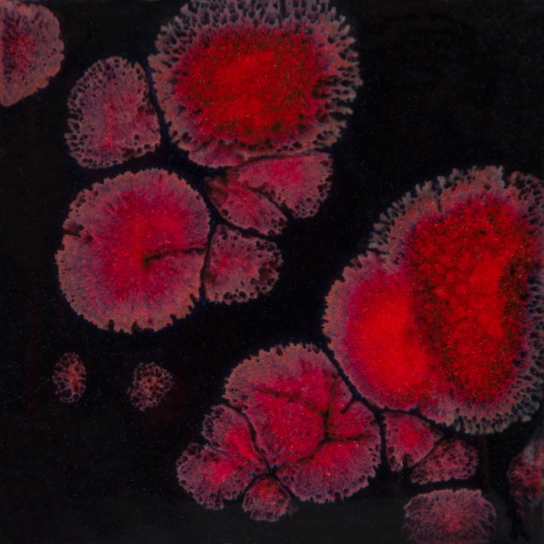 Mayco Jungle Gems - CG-779 Black Opal | Clay King