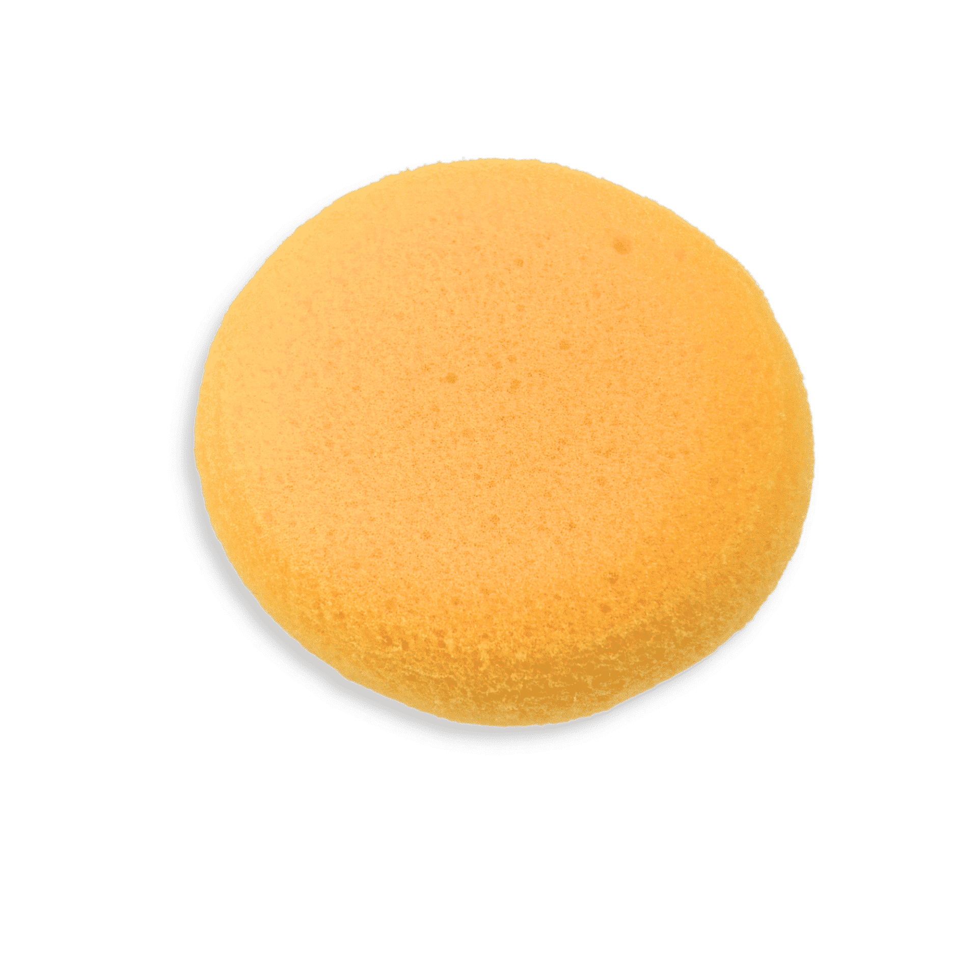 Basic Round Potter's Sponge