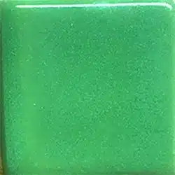 Coyote Texas Two Step (Undercoat) - MBG-143 Fern