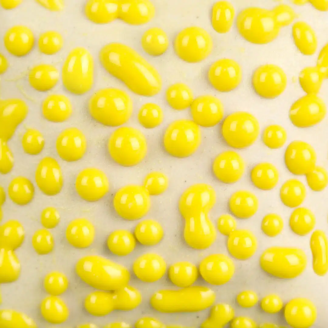 Mayco Ritual Glaze - SW-441 Yellow Bead - Pint