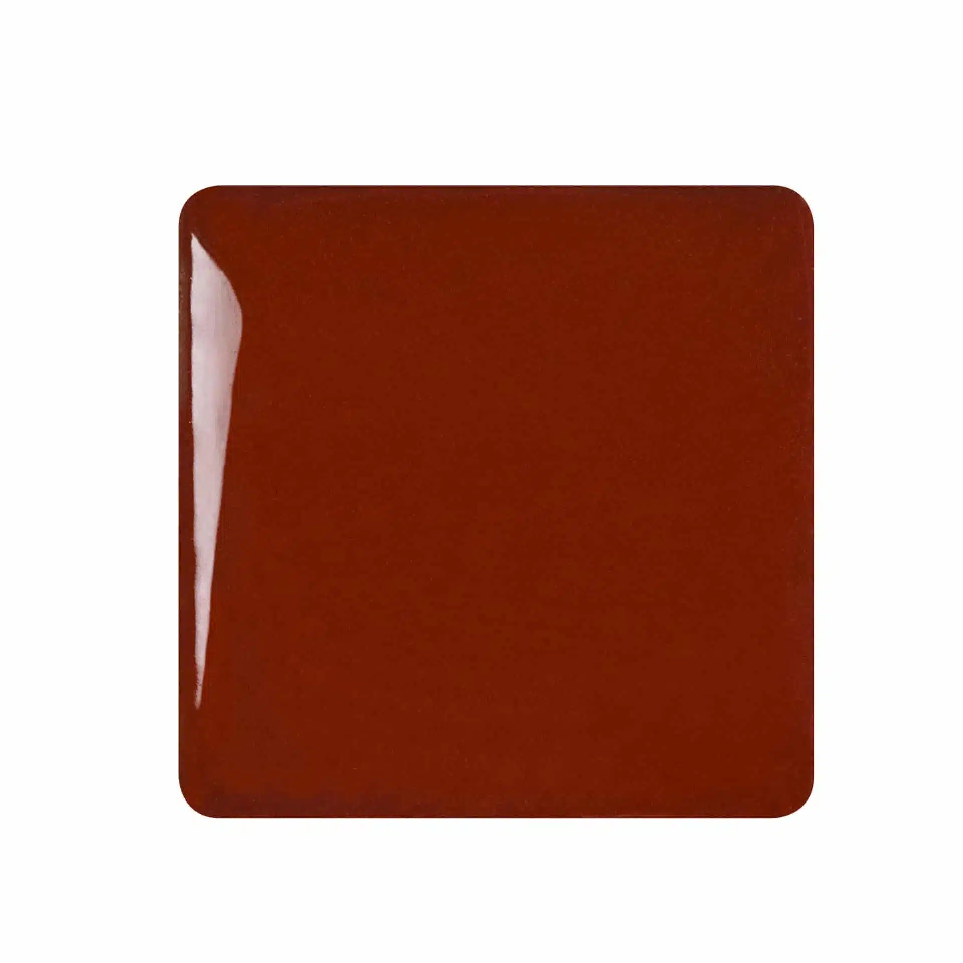 Speedball Studio Plus - Rich Brown