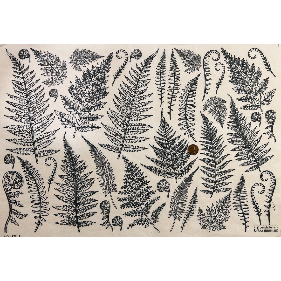 Elan Pottery Underglaze Transfer - Jungle Fern - 19" x 13" - Image 2