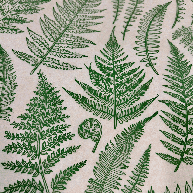 Elan Pottery Underglaze Transfer - Jungle Fern - 19" x 13" - Image 3